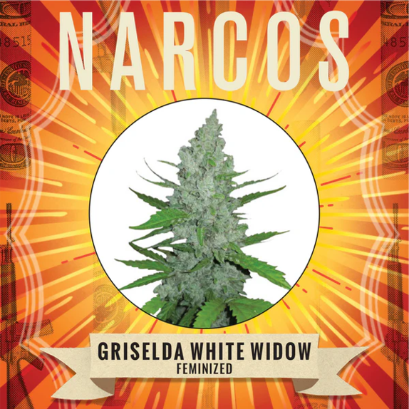 Griselda White Widow Cannabis Seeds