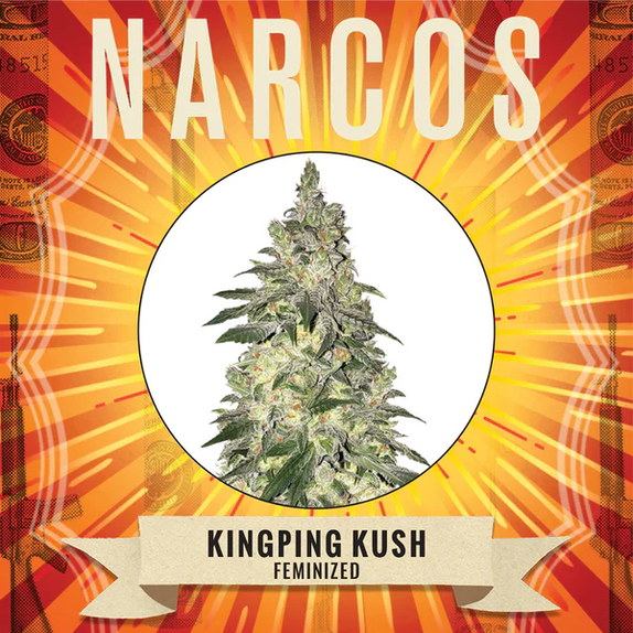 Kingpin Kush Cannabis Seeds