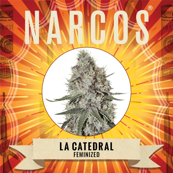 La Catedral Cannabis Seeds