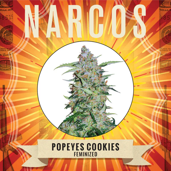 Popeyes Cookies Cannabis Seeds