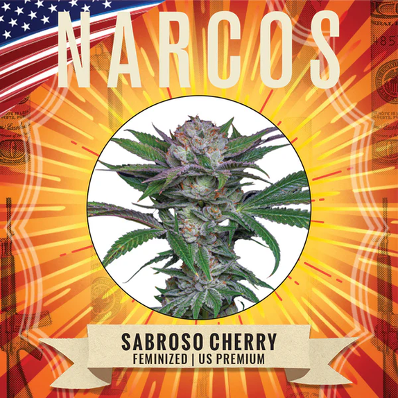 Sabraso Cherry Cannabis Seeds