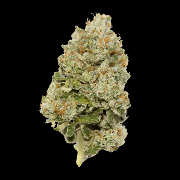 LIMITED EDITION Lemon Zkittlez Auto Cannabis Seeds