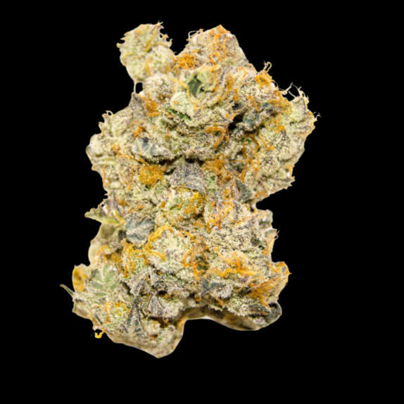 LIMITED EDITION White Truffle Auto Cannabis Seeds