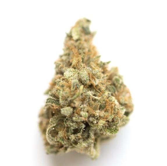 Mango Kush Feminised Cannabis Seeds