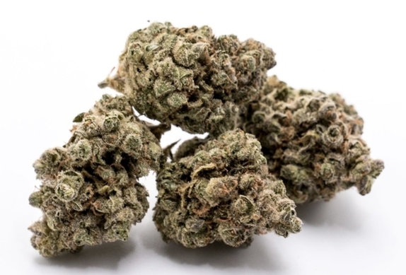 UK Cheese Auto Cannabis Seeds