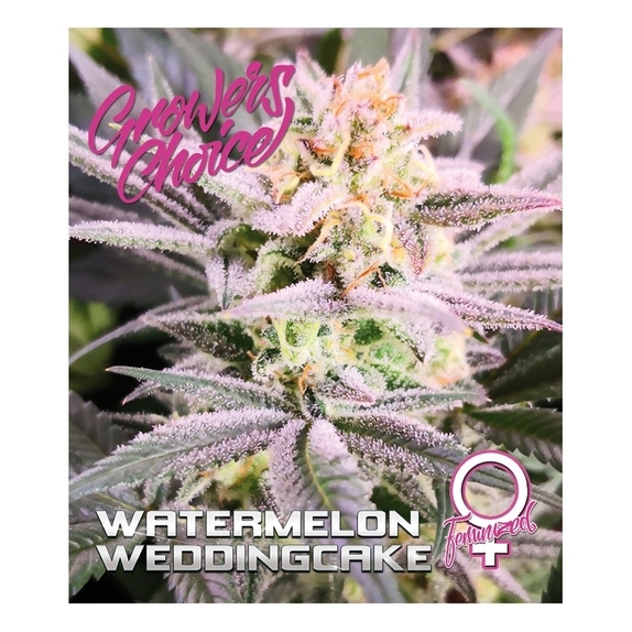 Watermelon Wedding Cake Cannabis Seeds