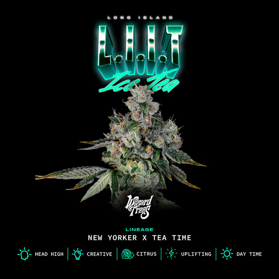 Wizard Trees Genetics L.I.I.T Cannabis Seeds