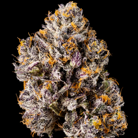 Wizard Trees Genetics Mystic Marker Cannabis Seeds