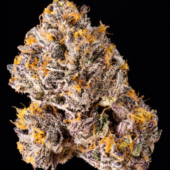 Wizard Trees Genetics The Keeper Cannabis Seeds