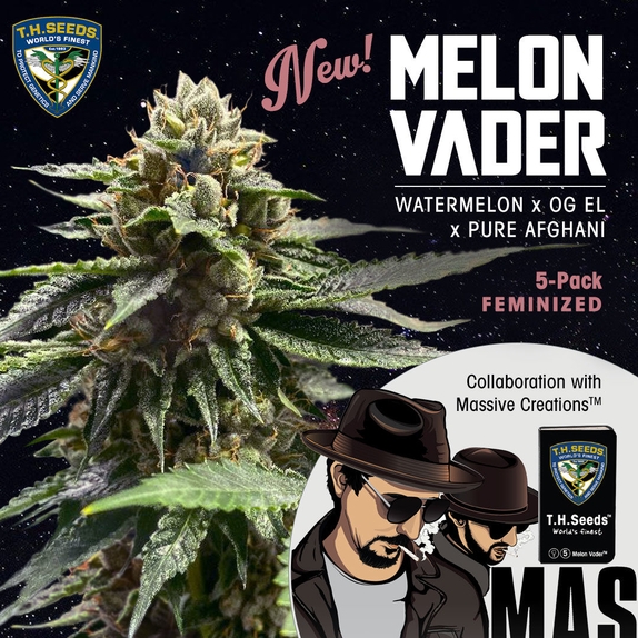 Melon Vader Feminised Cannabis Seeds