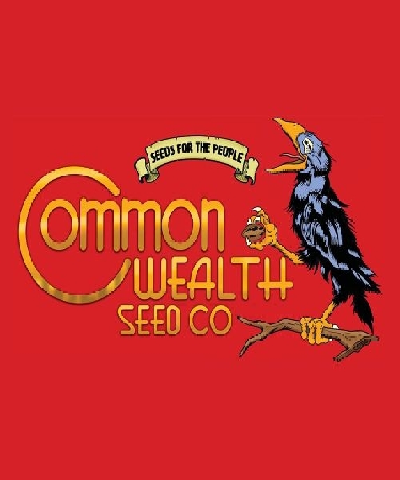 Grape Sunshine S1 (Common Wealth Seed Co) Cannabis Seeds