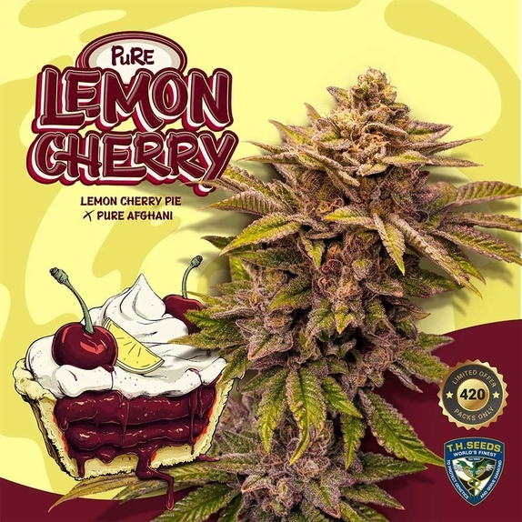 Pure Lemon Cherry (TH Seeds) Cannabis Seeds