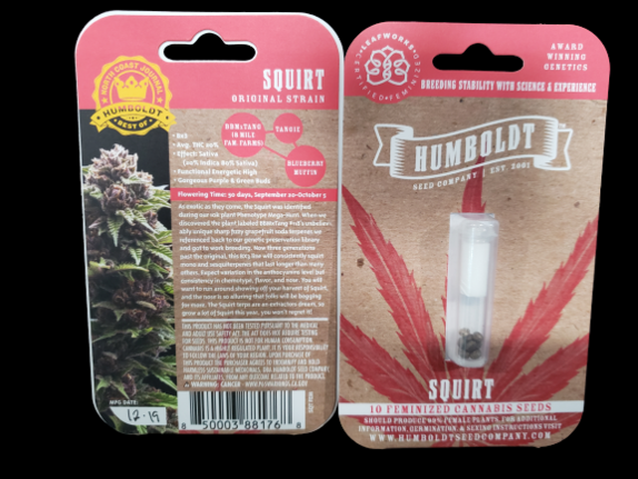 Squirt Cannabis Seeds