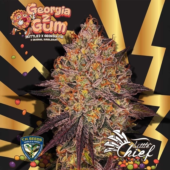 GeorgiaZGum Feminised(TH Seeds) Cannabis Seeds