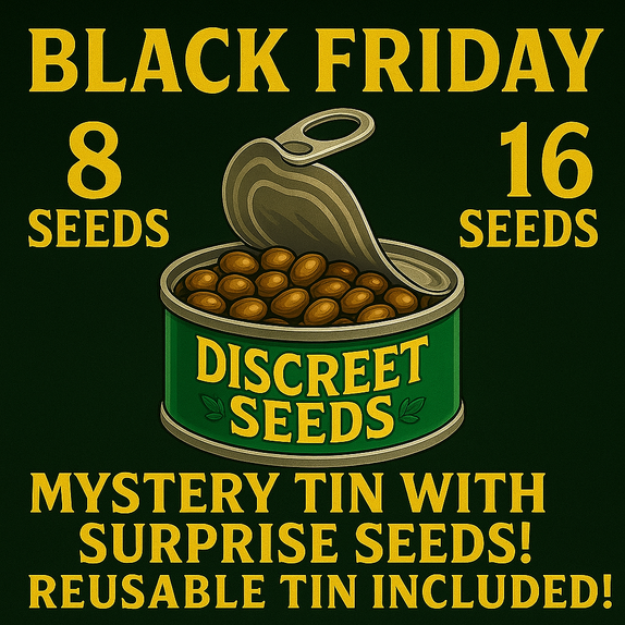 Mystery Tin Auto (Discreet Seeds) Cannabis Seeds