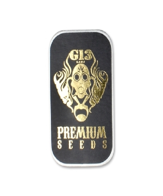 C99 feminised (G13 Labs Seeds) Cannabis Seeds