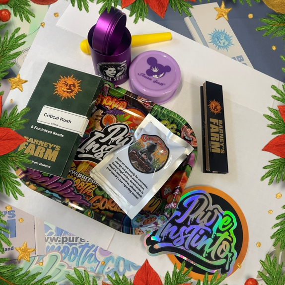 Christmas Box Feminised Cannabis Seeds