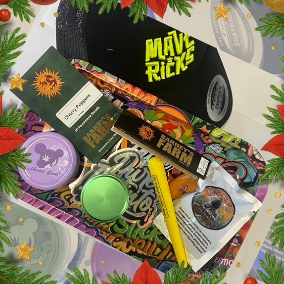 Christmas Box (Large) Feminised Cannabis Seeds