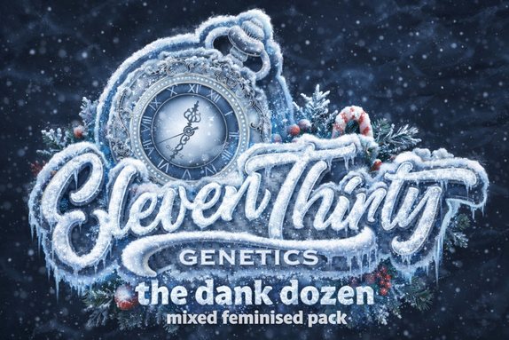 The Dank Dozen (Mixed Feminised pack) (ElevenThirty Genetics) Cannabis Seeds