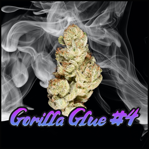 Gorilla Glue #4 Feminised (Discreet Seeds Bulk) Cannabis Seeds