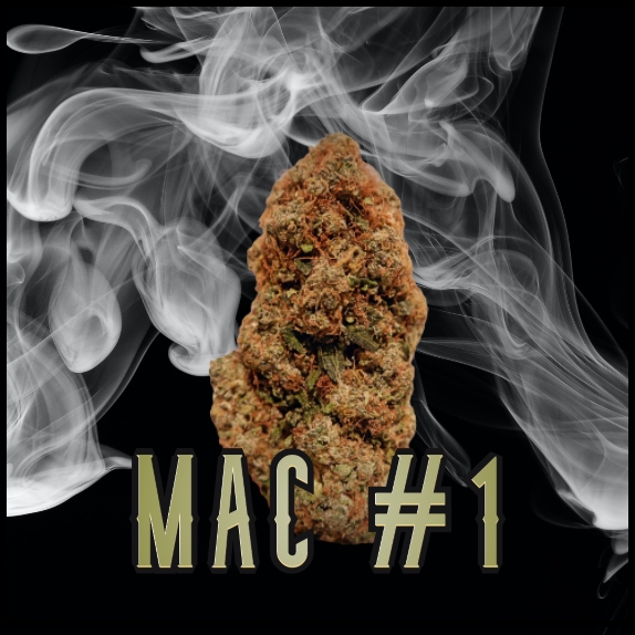 MAC#1 Feminised (Discreet Seeds Bulk) Cannabis Seeds