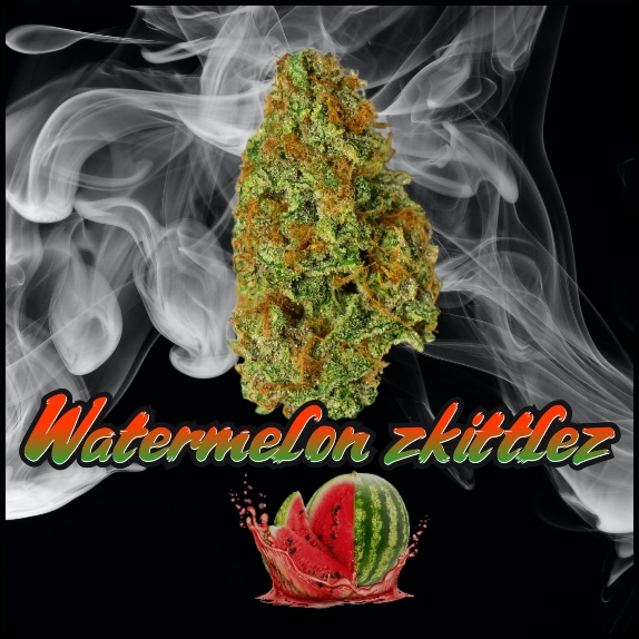 Watermelon Zkittlez Feminised (Discreet Seeds Bulk) Cannabis Seeds