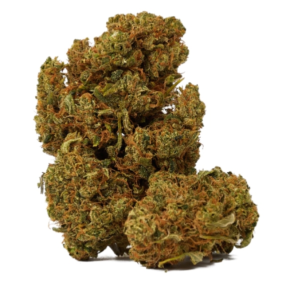 Blueberry Gelato Auto (Discreet Seeds Bulk) Cannabis Seeds