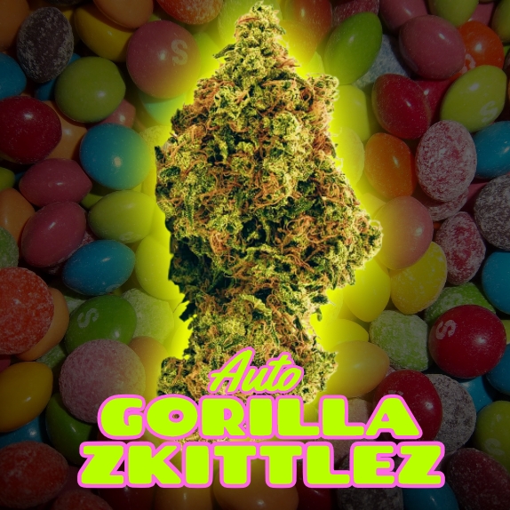 Gorilla Zkittlez Auto (Discreet Seeds Bulk) Cannabis Seeds