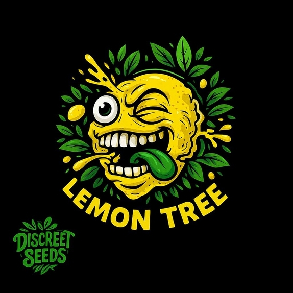 Lemon tree (Discreet Seeds Bulk) Cannabis Seeds