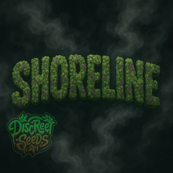 Shoreline  (Discreet Seeds Bulk) Cannabis Seeds