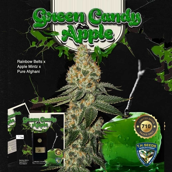 Green Candy Apple (TH Seeds) Cannabis Seeds