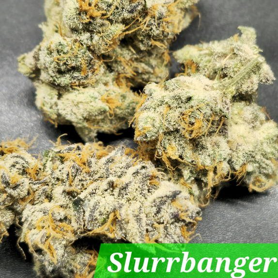 SlurBanger (In House Genetics) Cannabis Seeds