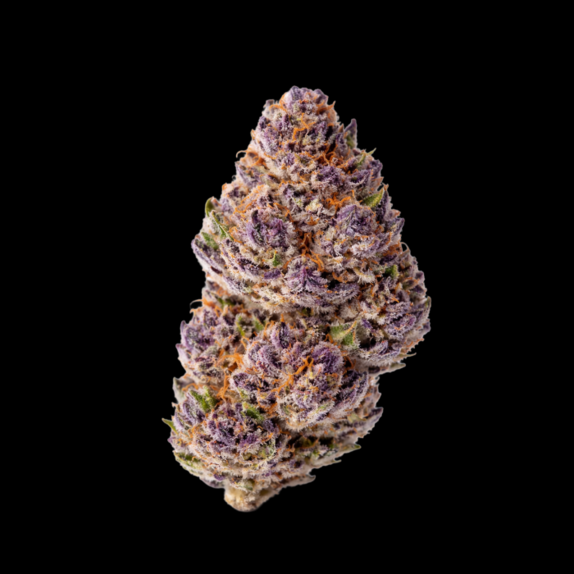 Unicorn Wagyu (Growers Choice Seeds) Cannabis Seeds