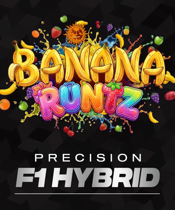 Banana Runtz Feminised (Barneys Farm Seeds) Cannabis Seeds