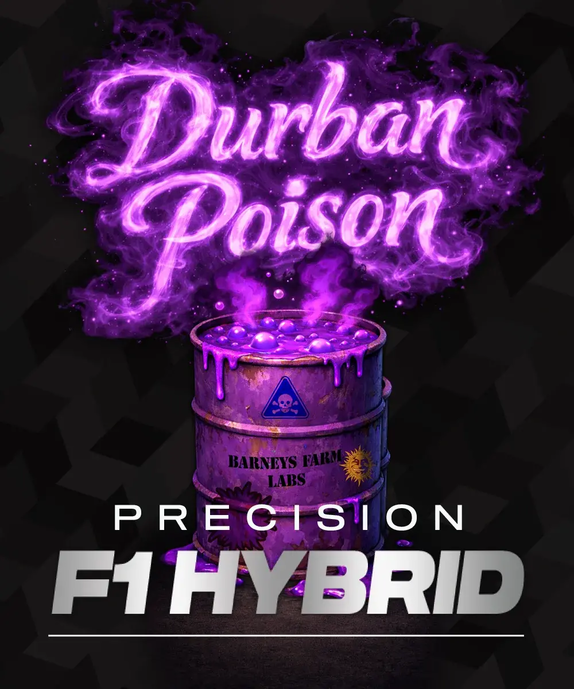 Durban Poison Cannabis Seeds