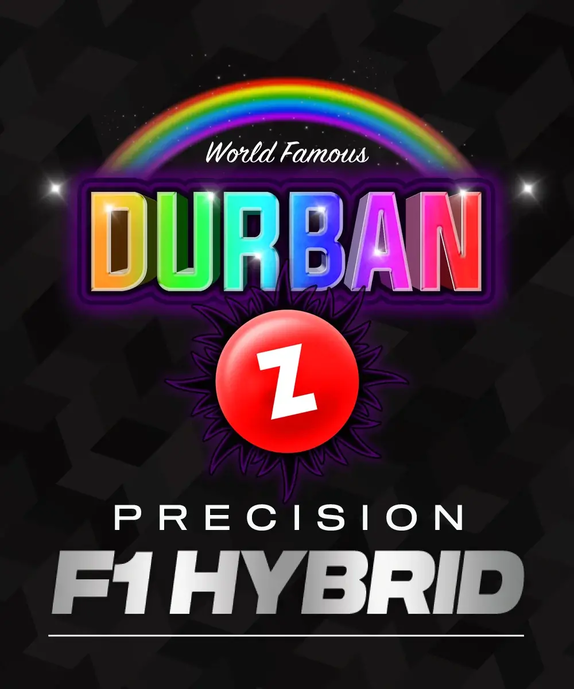 Durban Z Feminised (Barneys Farm Seeds) Cannabis Seeds