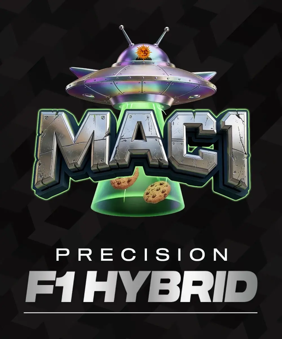 Mac 1 Feminised (Barneys Farm Seeds) Cannabis Seeds