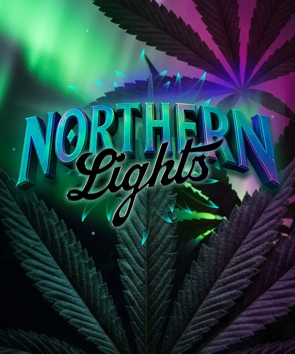 Northern Lights Feminised (Barneys Farm Seeds) Cannabis Seeds