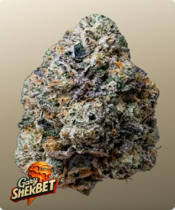 Gary Sherbet (Fast Buds Seeds) Cannabis Seeds