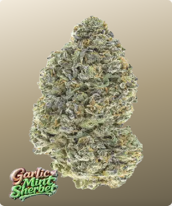 Garlic Mint Sherbet (Fast Buds Seeds) Cannabis Seeds