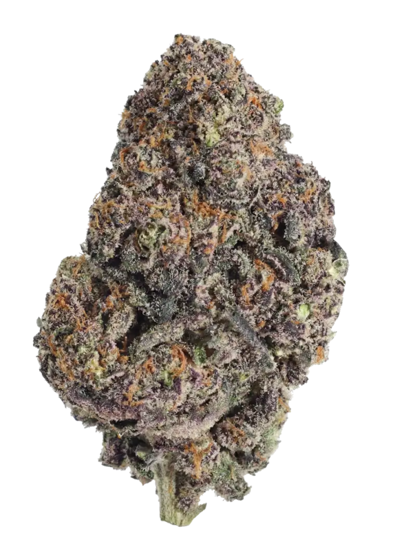 Papayton (Fast Buds Seeds) Cannabis Seeds
