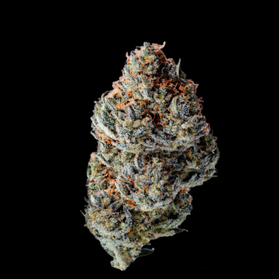 Toad Venum Auto (Growers Choice Seeds) Cannabis Seeds