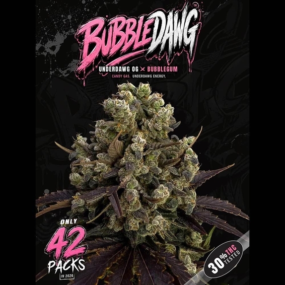 BubbleDawg Feminized (TH Seeds) Cannabis Seeds
