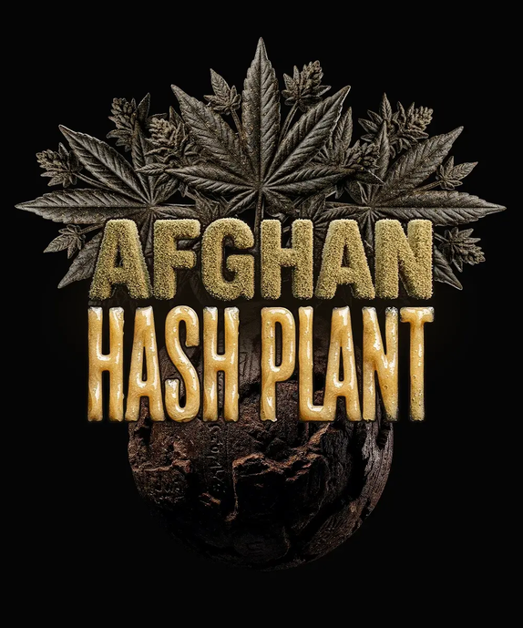 Afghan Hash Plant Auto (Barneys Farm Seeds) Cannabis Seeds