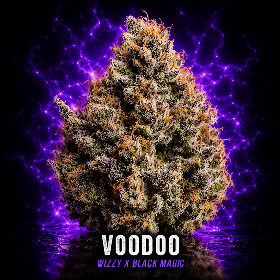 Voodoo Feminised (Wizard Trees Genetics) Cannabis Seeds
