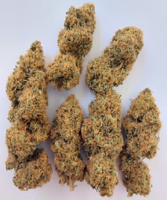 Magic Carrot Feminised (Ace Seeds) Cannabis Seeds
