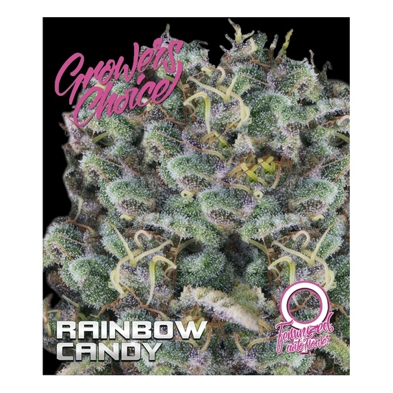 Rainbow Candy Auto Cannabis Seeds