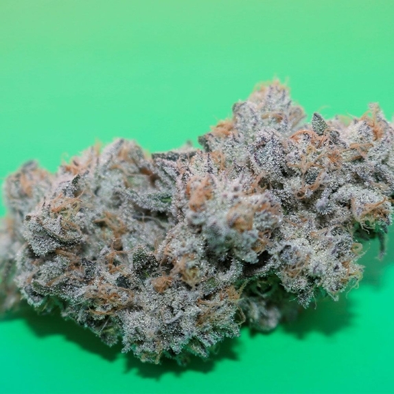 Coolio Beans Regular (Capulator Seeds) Cannabis Seeds