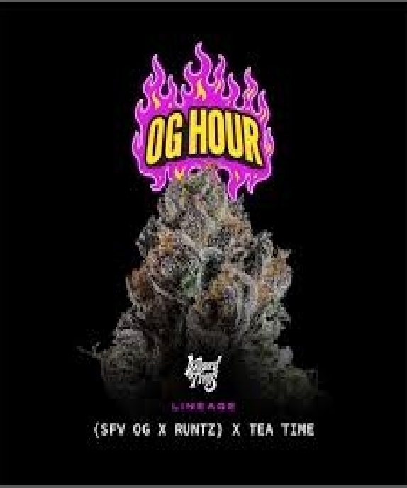 OG Hour Feminised (Wizard Trees Genetics) Cannabis Seeds