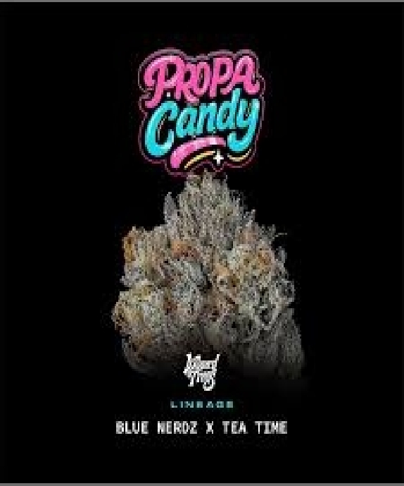 Propa Candy Feminised (Wizard Trees Genetics) Cannabis Seeds